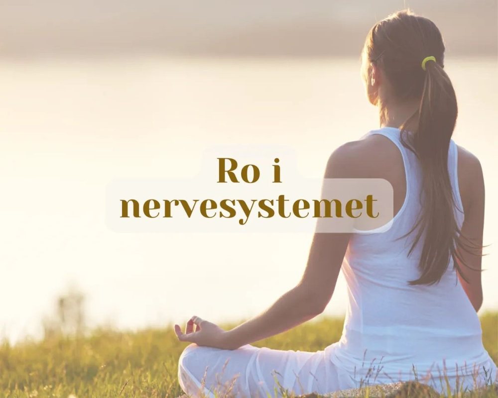 Ro i Nervesystemet