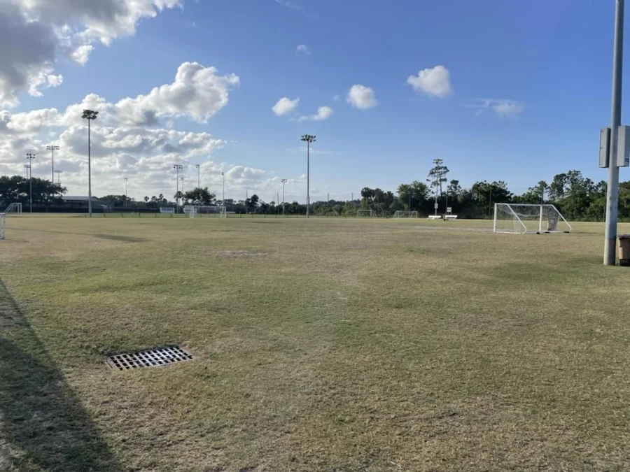 Field Day at Fit Life NSB