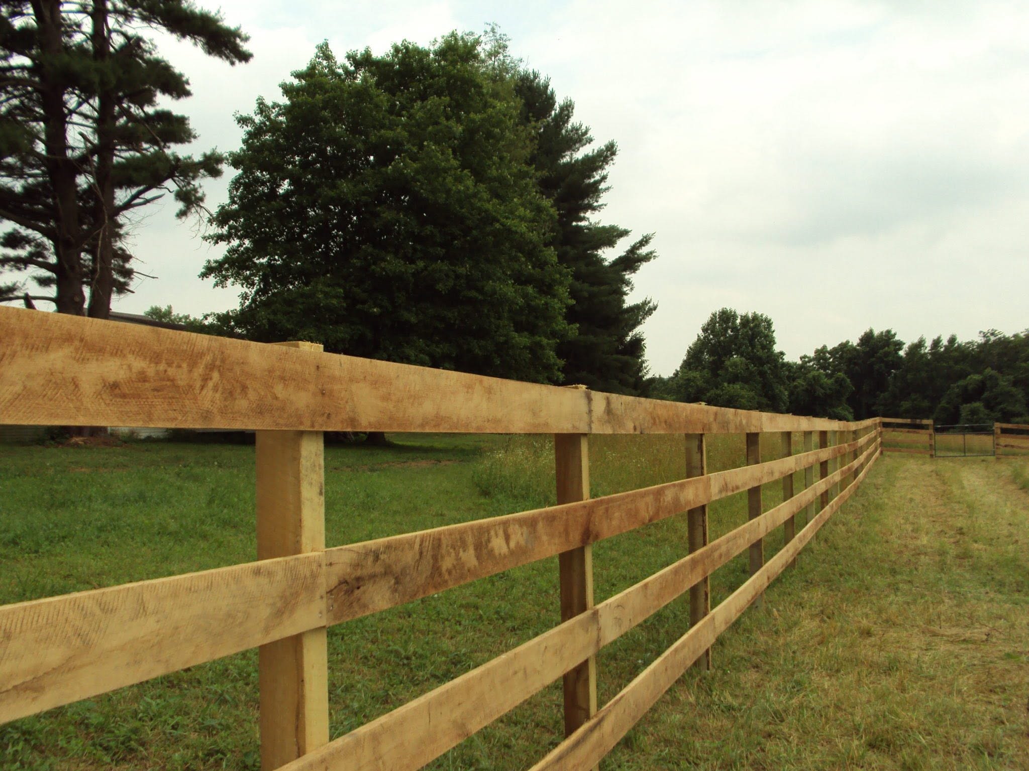 Ag fence line
