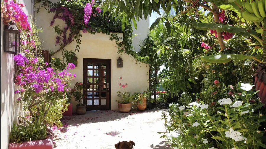 Casa Alba's entrance framed by bougainvillea
