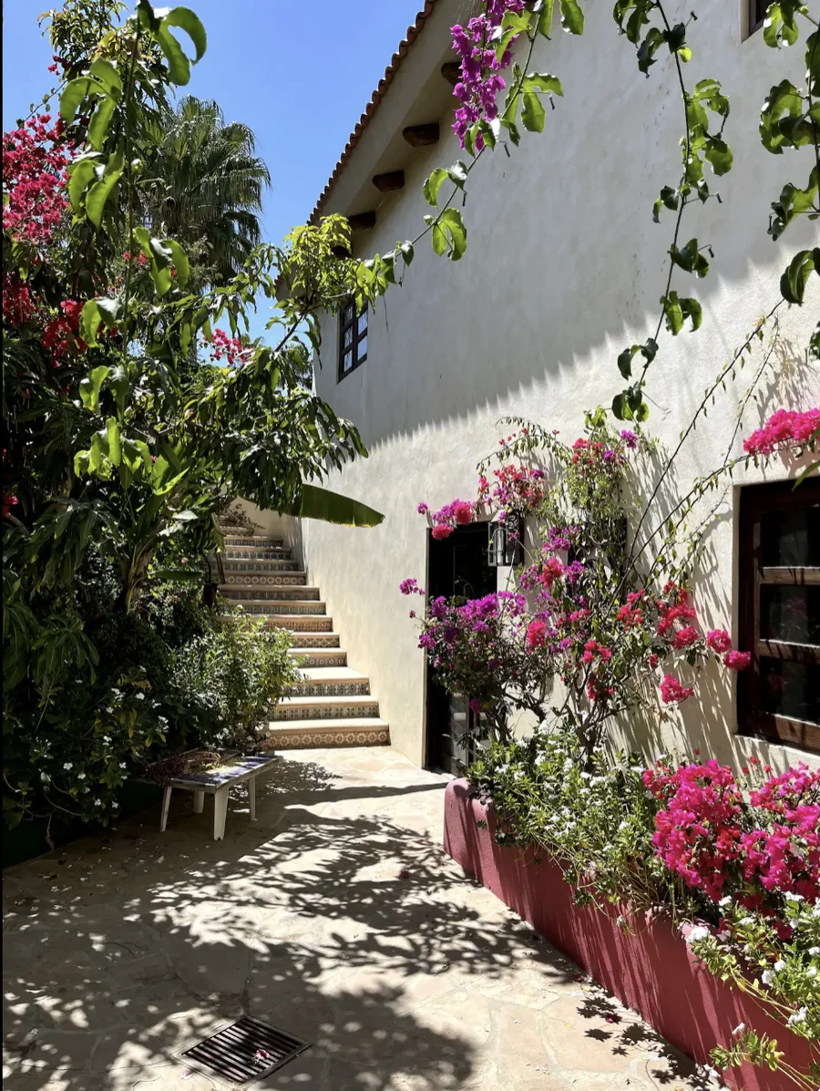 Garden stairway at Casa Alba lined with bougainvillea