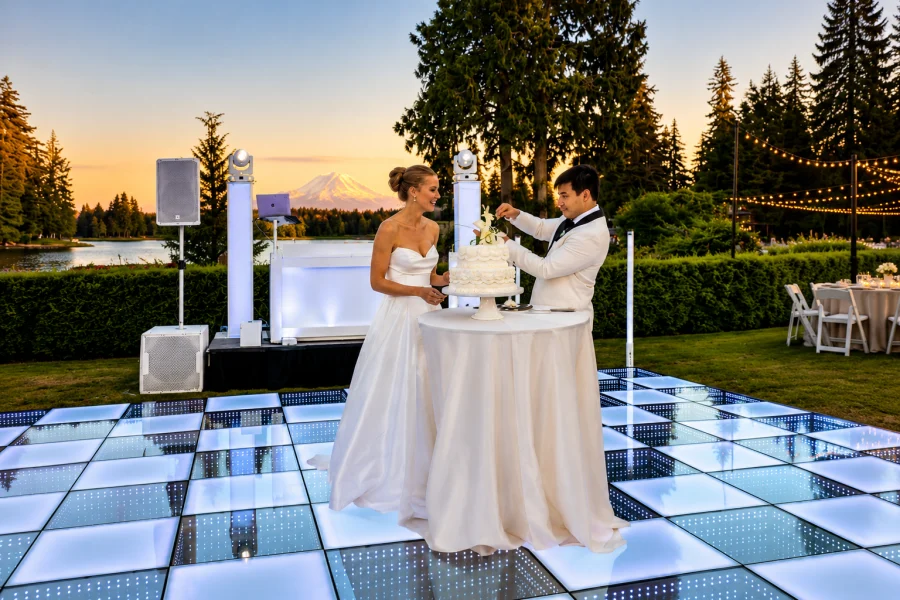 VIP LED dance floor and white wedding DJ production by DJ Quick Hire